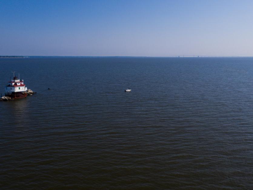 Fishing 101: What Fish Are Biting In Maryland?