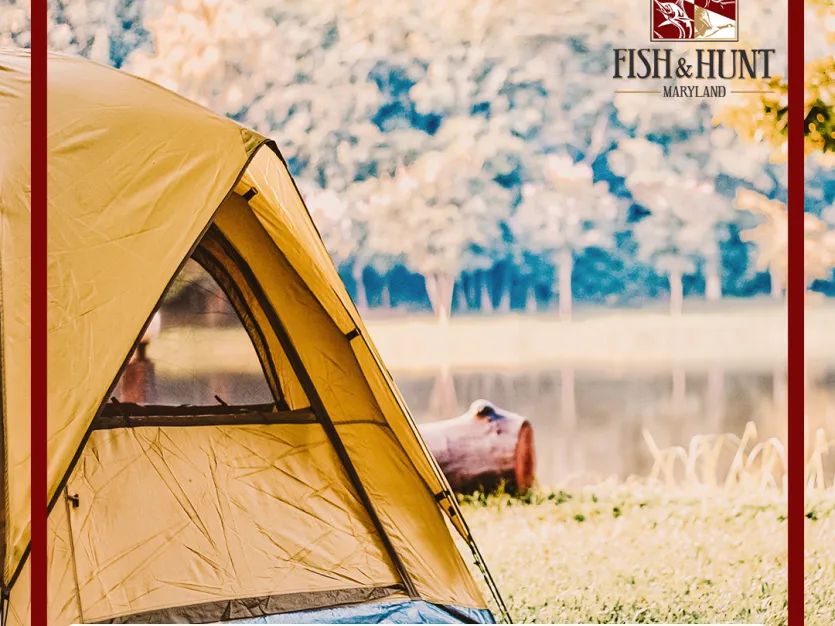 camping and finshing series part II
