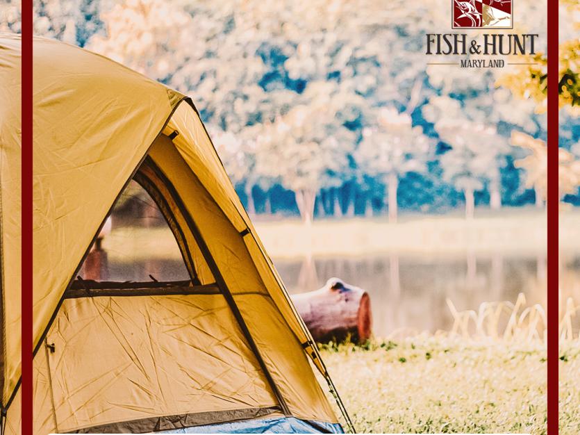 camping and finshing series part II