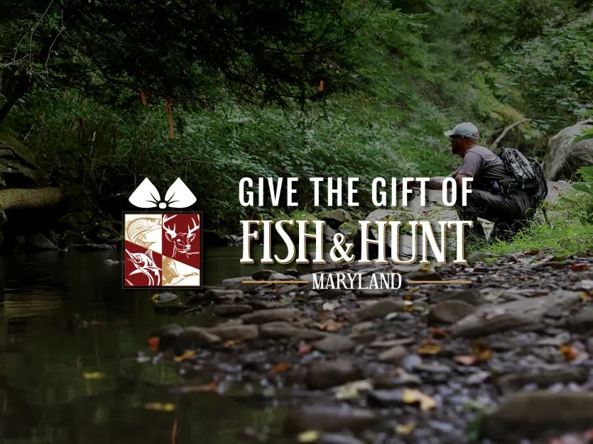 Give the Gift of Fish &amp; Hunt Maryland