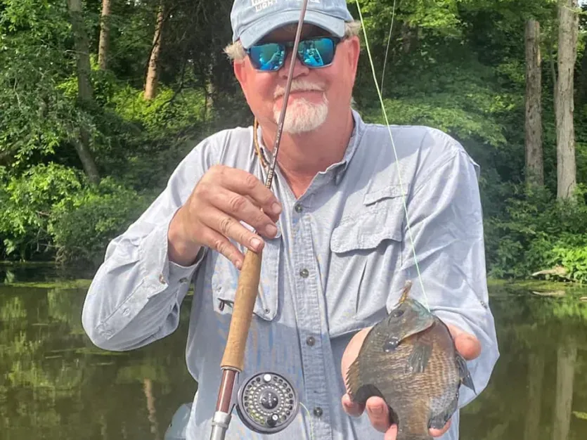 Fly fisherman holding a panfish