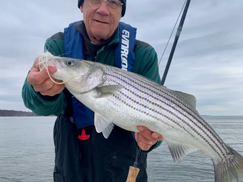 A young striper for Joe Evans