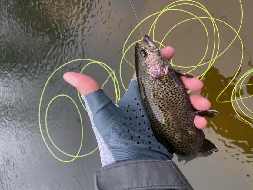 Trout Spinners – Right Bite Baits