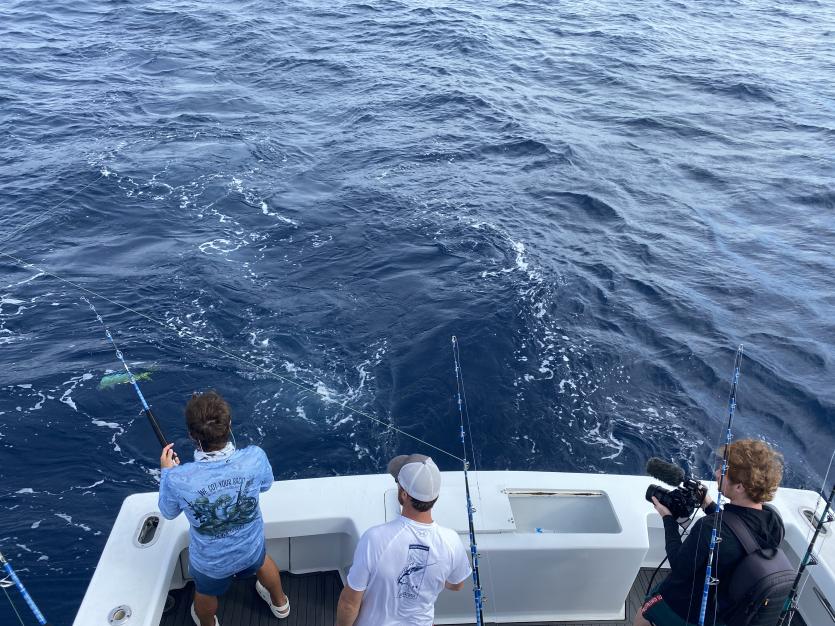 Sport fishing boat White Marlin  Fishing trips in Atlantic Ocean