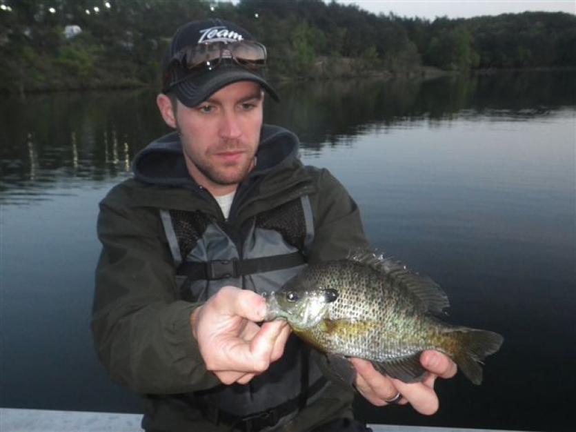 Bluegill Lake Habeeb at Rocky Gap State Park