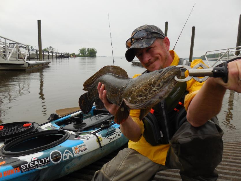 Snakehead on the Susquehanna Flats