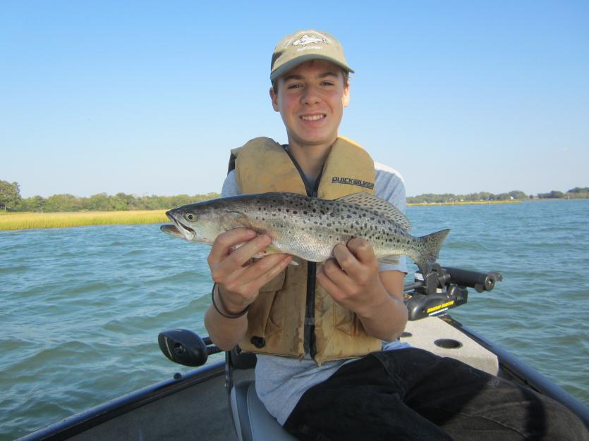 Speckled Trout