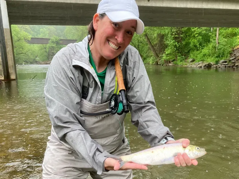 An Octoraro Hickory Shad on a Rainy Afternoon