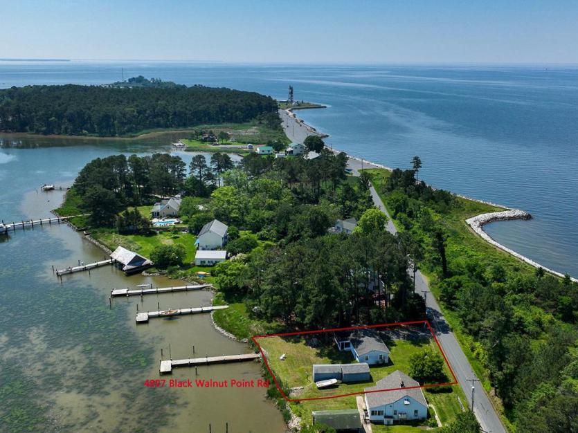 Black Walnut Point Aerial