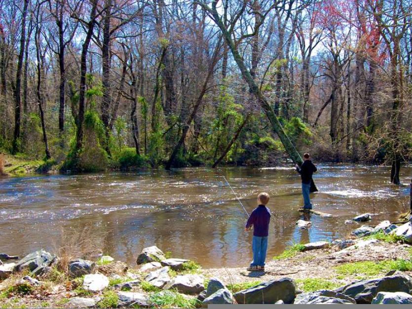 Choptank River at Red-Bridges