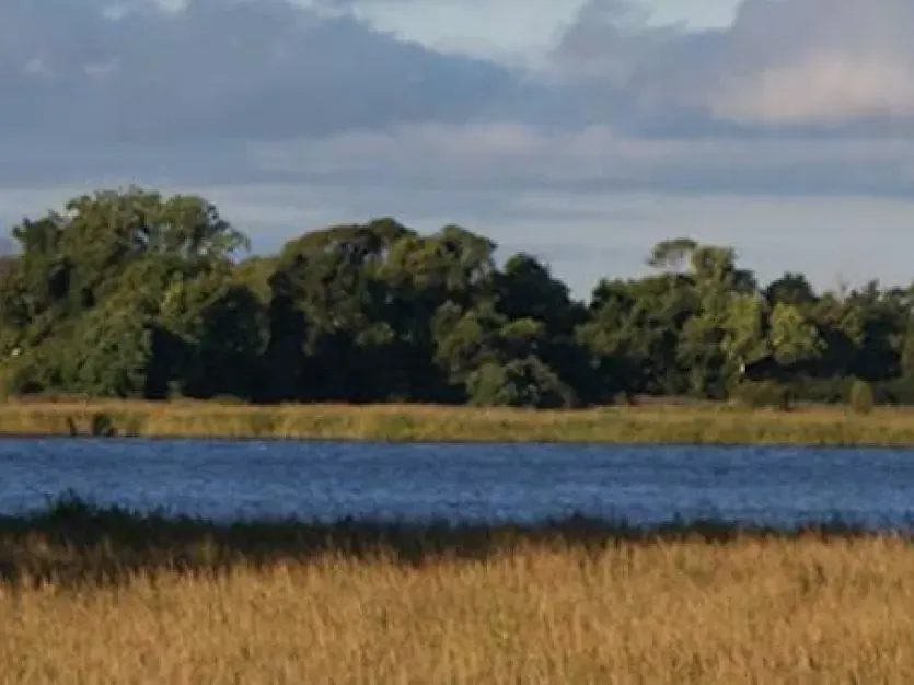 Eastern Neck Wildlife Refuge