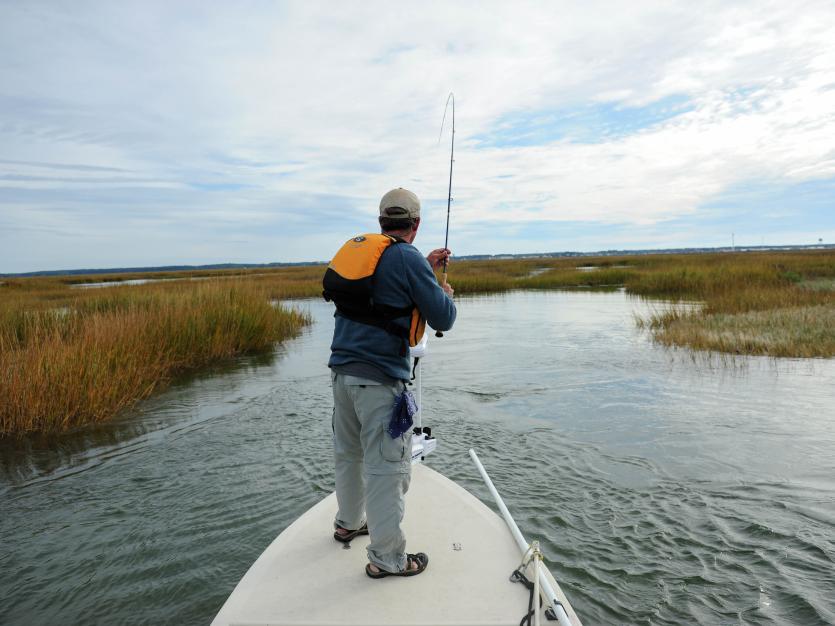 Fighting Another Janes Island State Park Striped Bass