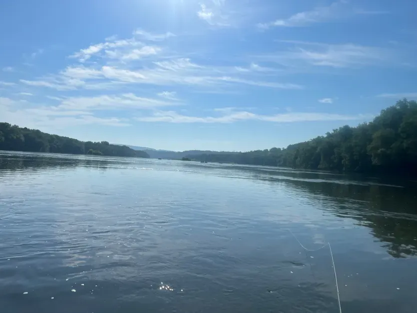 Fly Fishing a Pool on the Potomac River
