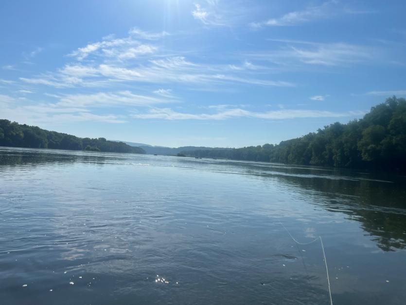 Fly Fishing a Pool on the Potomac River