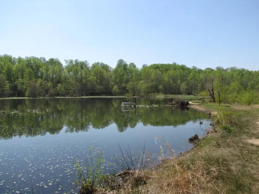 Governor Bridge Natural Area