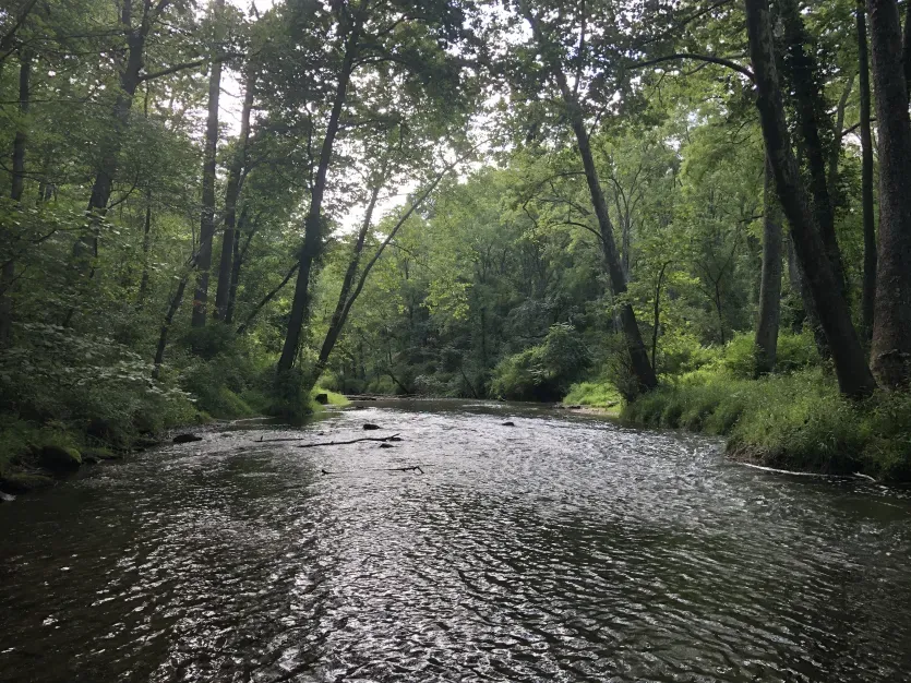 Gunpowder Falls