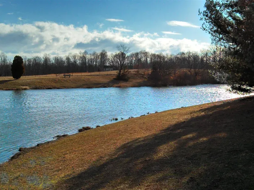 Hutchins Pond