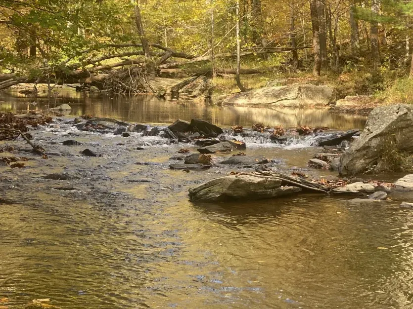 Riffles and Pool on Morgan Run