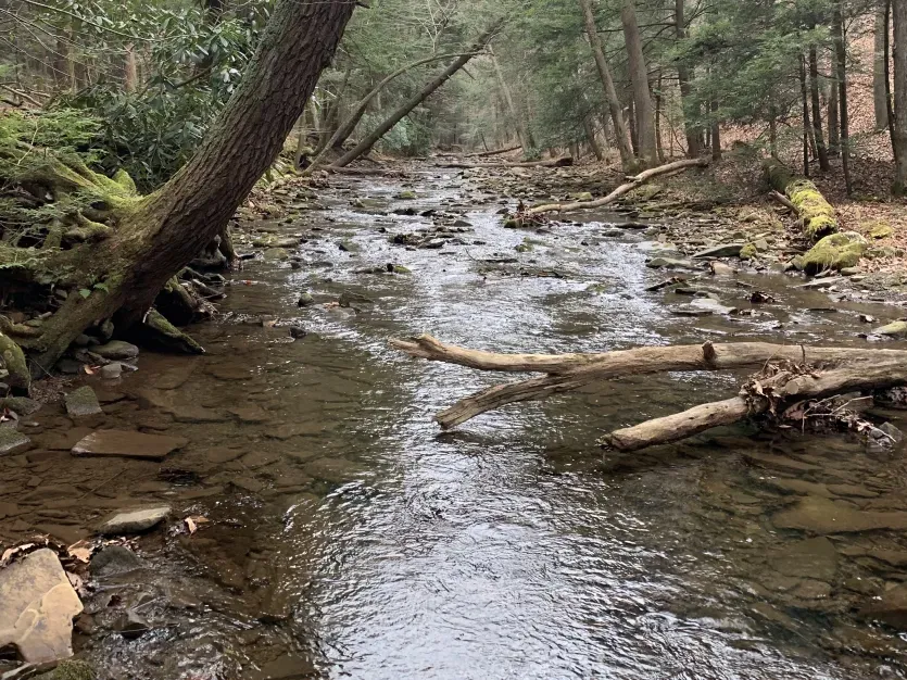 Town Creek Big Run State Park