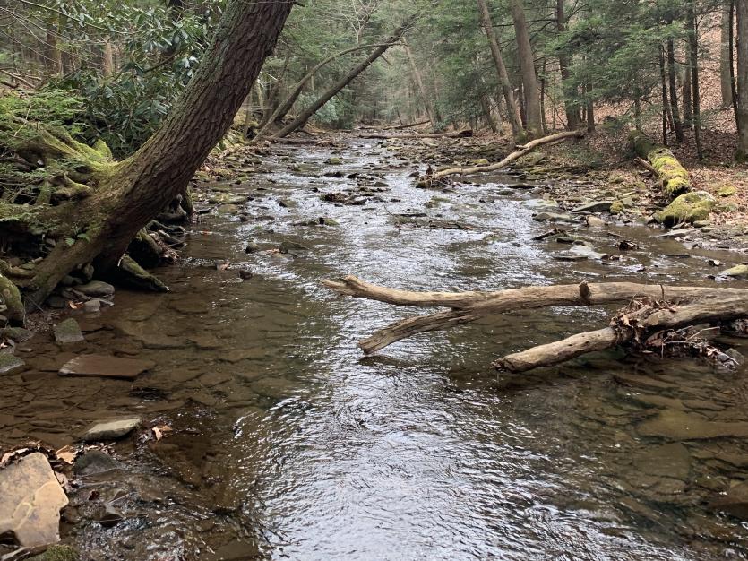 Town Creek Big Run State Park