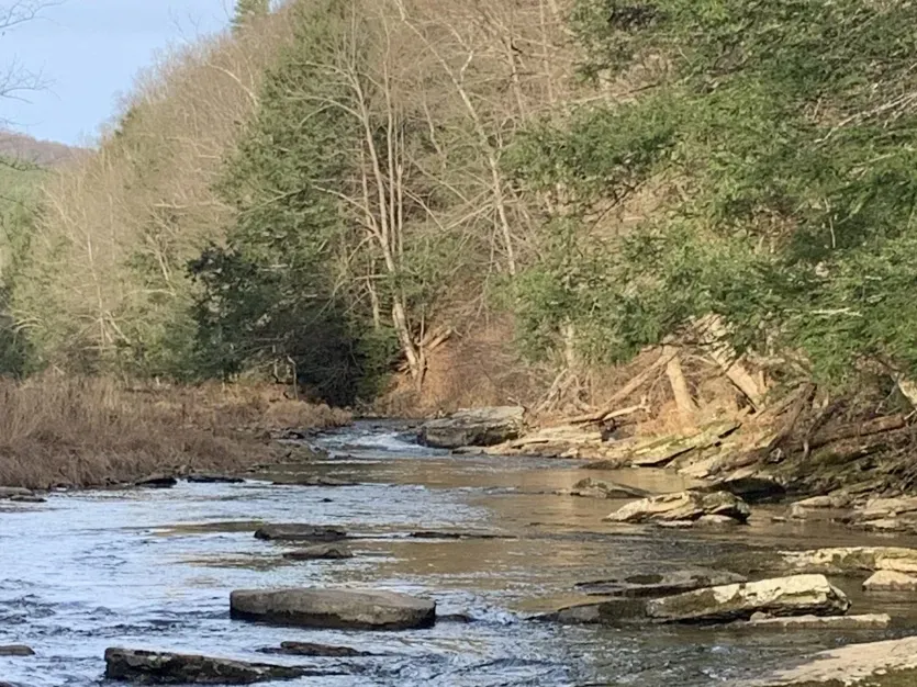 Upper Savage River