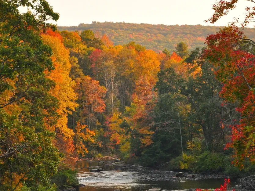 Youghiogheny River in the Fall