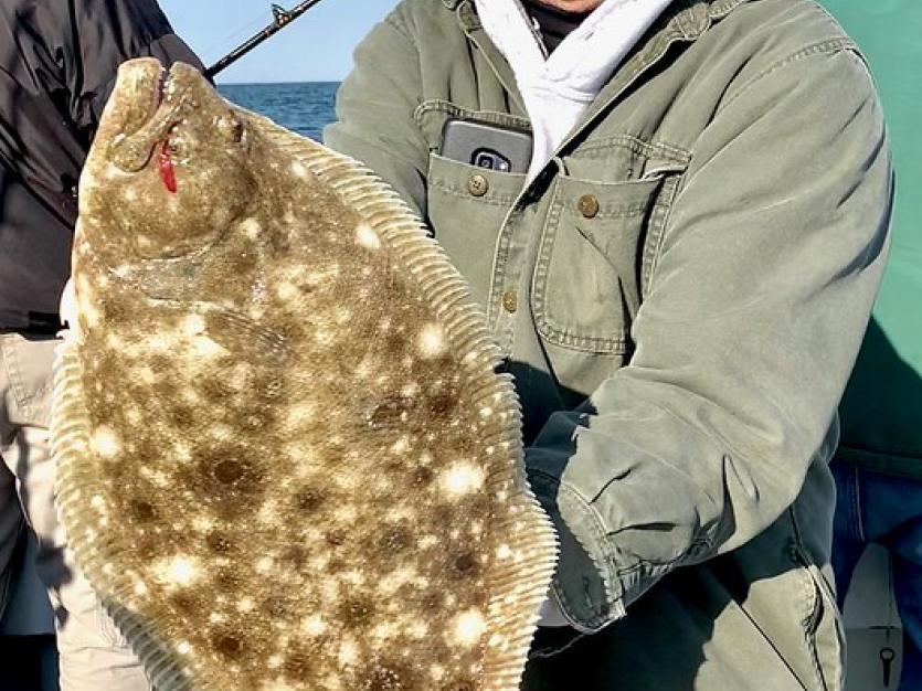 Summer Flounder Facts & Information Guide - American Oceans