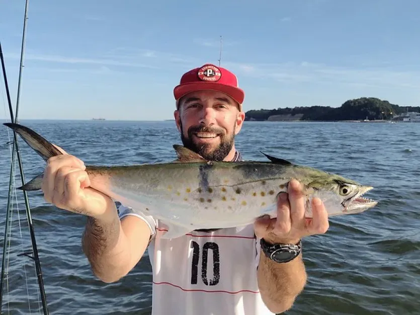 Spanish Mackerel