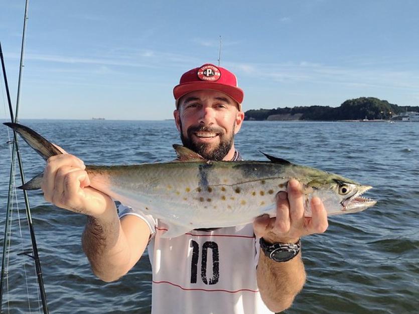 Spanish Mackerel