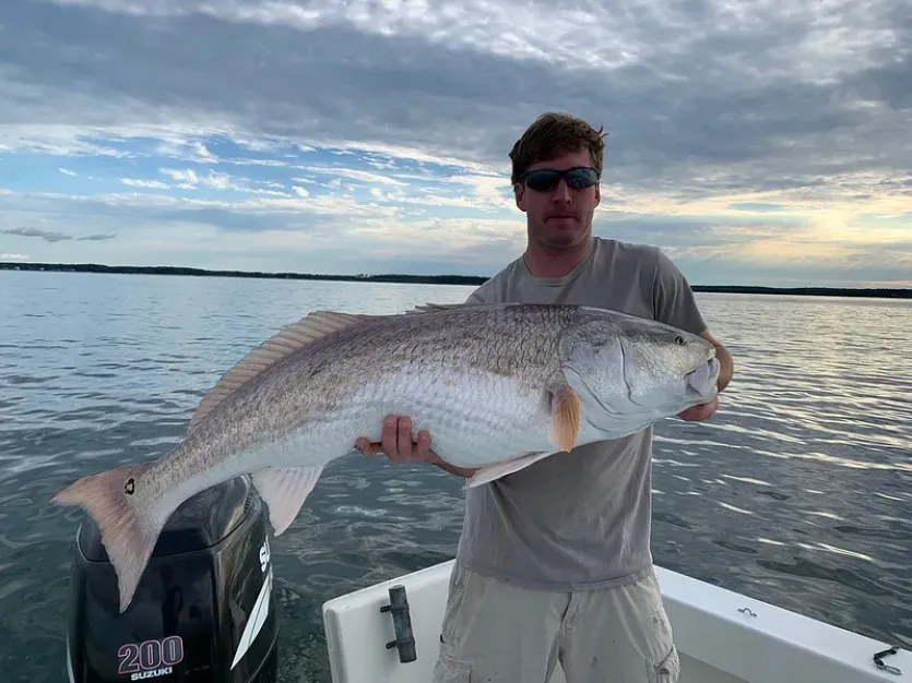 Red Drum