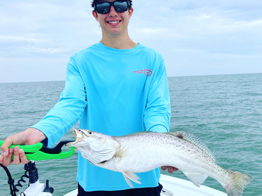 Seatrout