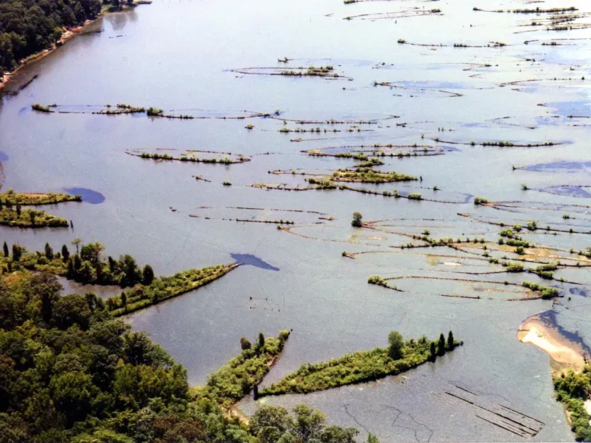 Mallows Bay