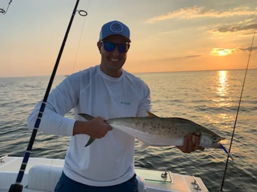 spanish mackerel