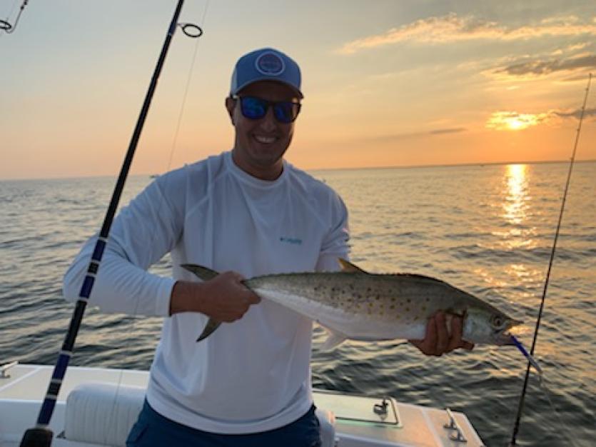 spanish mackerel
