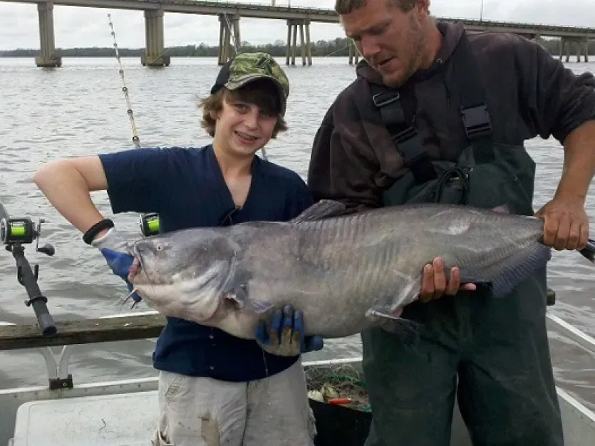Catfishing in Maryland