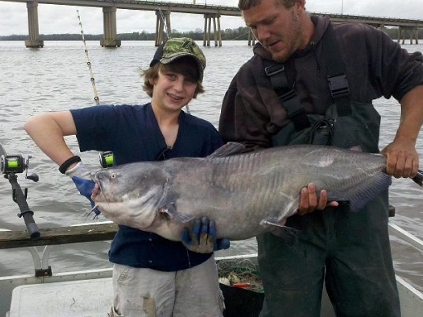 Catfishing in Maryland