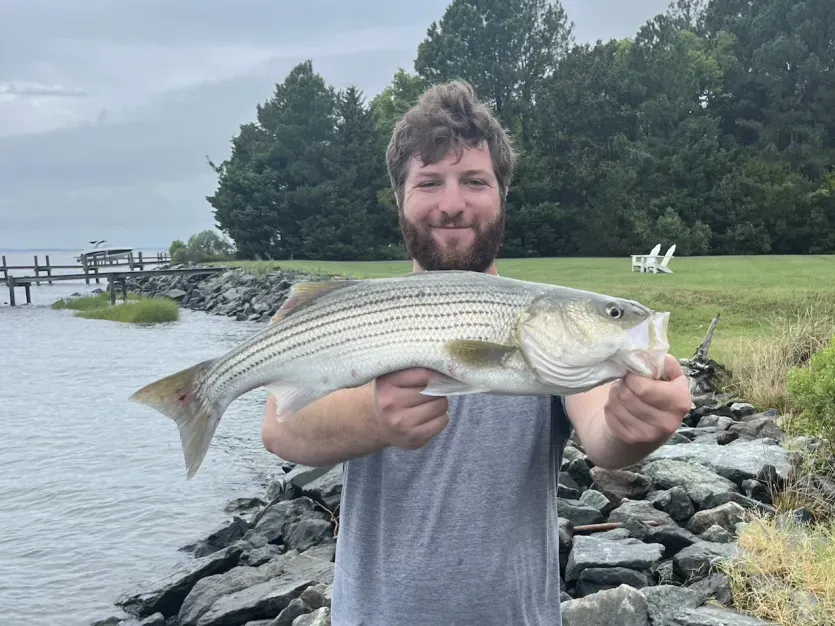 Shoreline Fishing For Beginners
