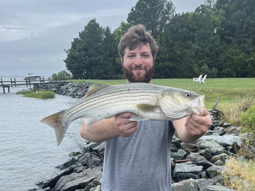 Shoreline Fishing For Beginners