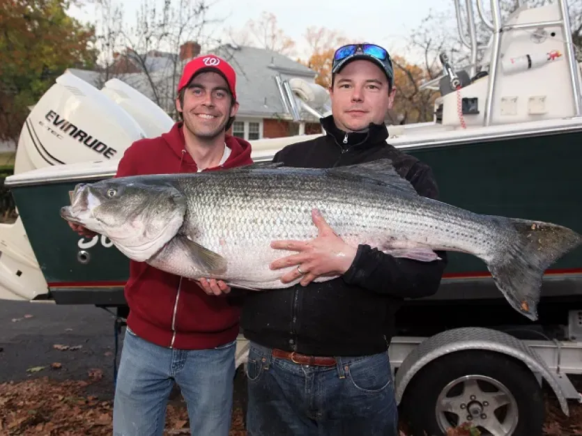 Sport Fish