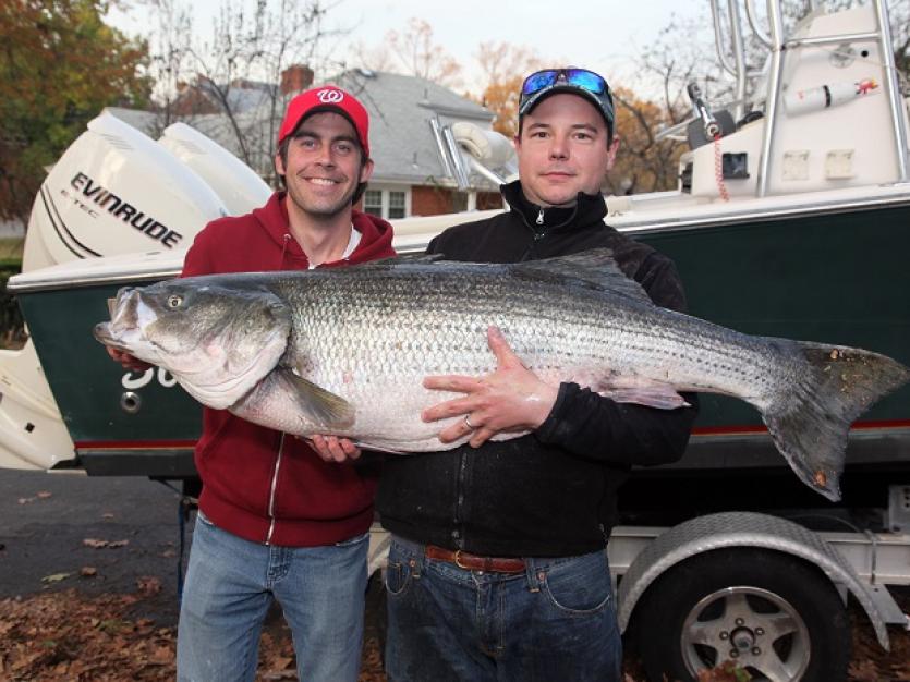 Sport Fish