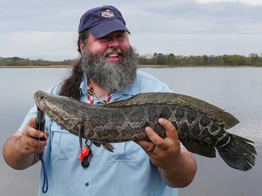 Fisherman holding a northern snakehead