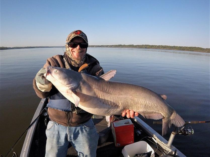 Blue Catfish