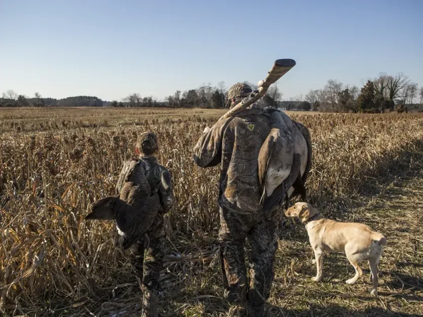 Father and son waterfowl hunting