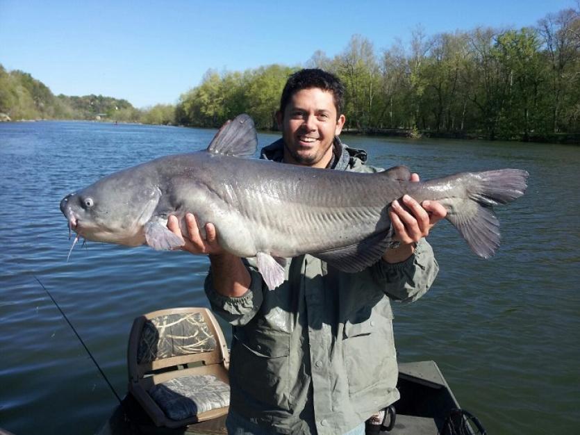 Fishing the Potomac River for Blue Cats - On The Water