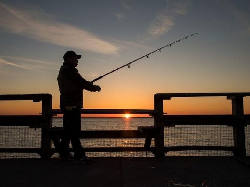 Chesapeake Bay & Coastal Sport Fish License Description