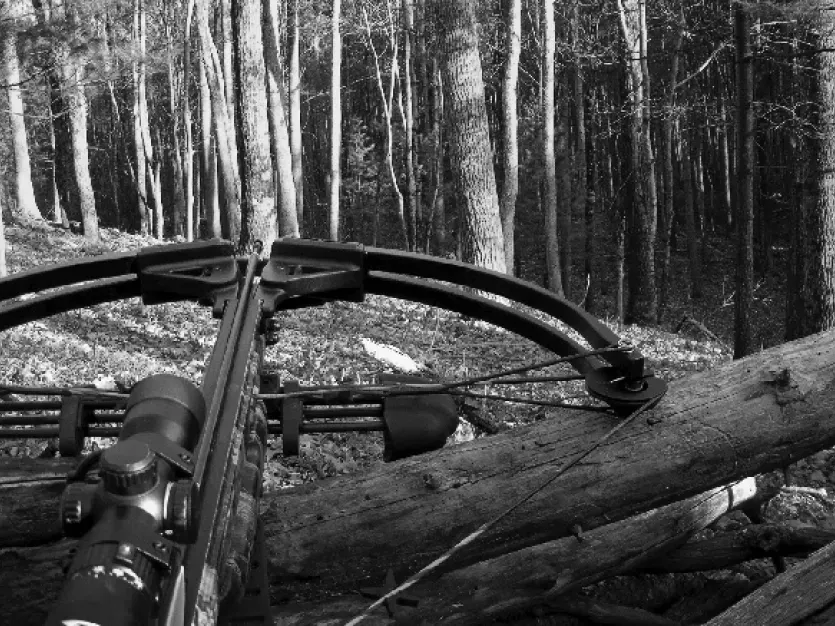 Crossbows