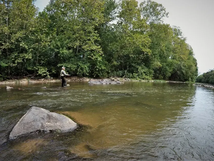Discovering Maryland's Small Streams