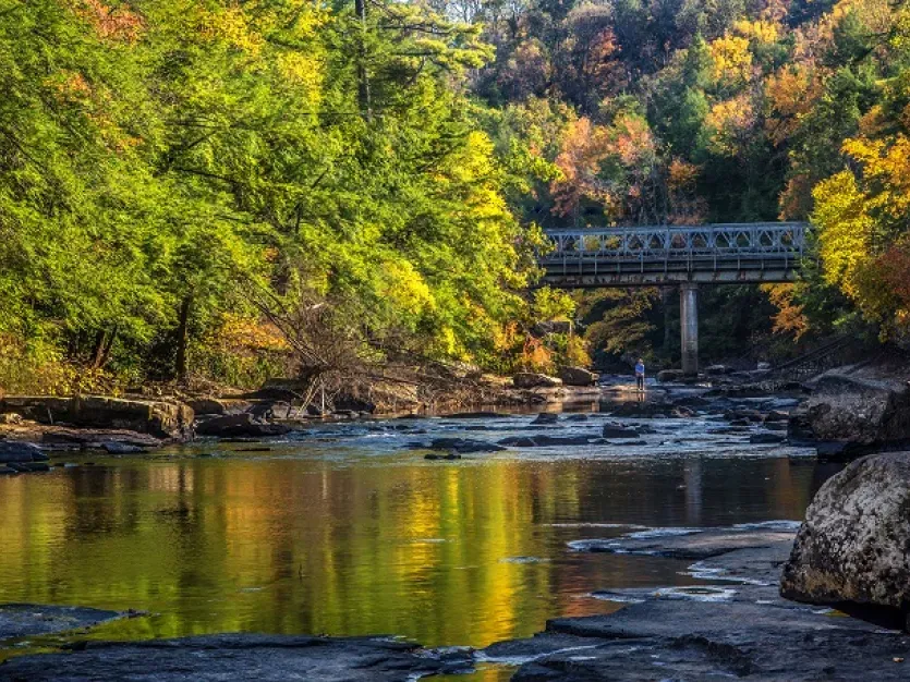 Fly Fishing