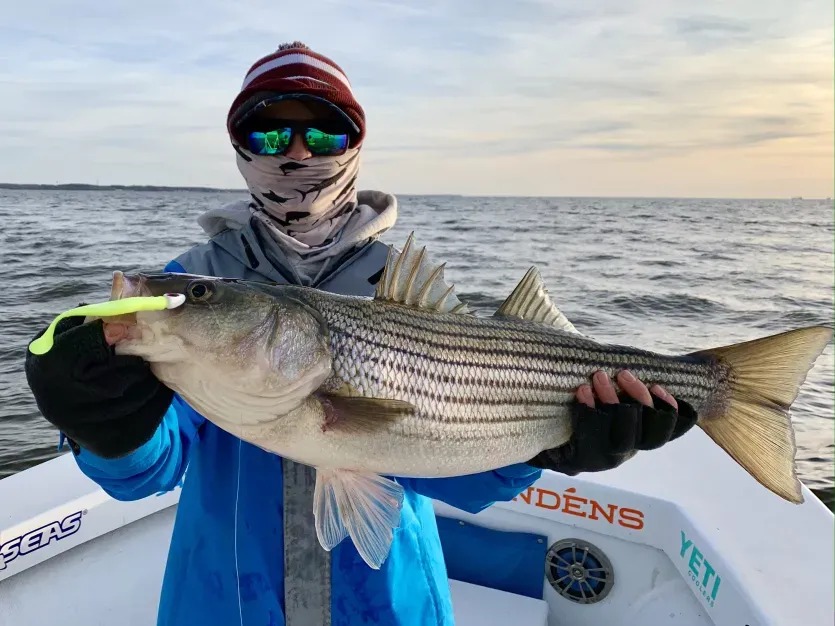 Fisherman in winter gear holding a large rockfish
