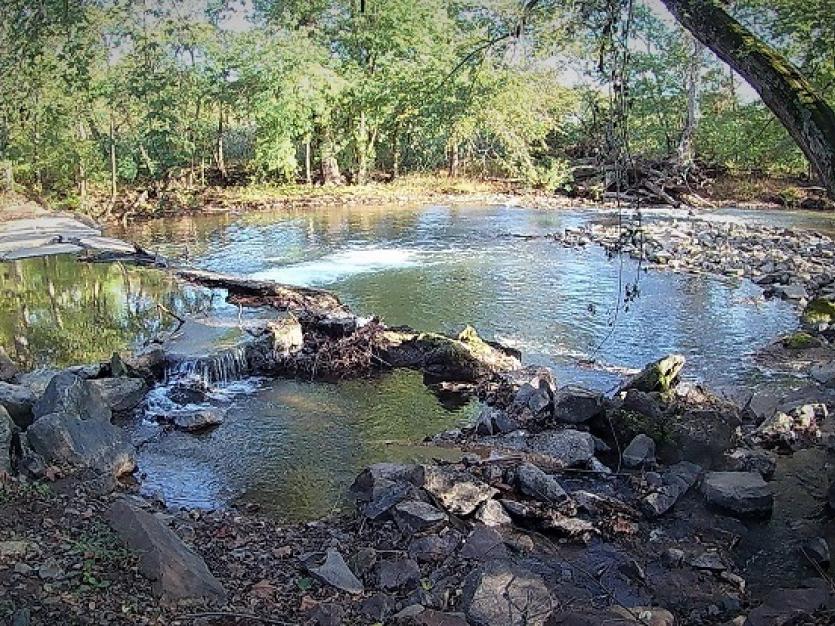 Maryland Small Stream